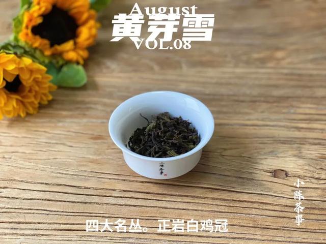 身体浸泡石乳金丹无数