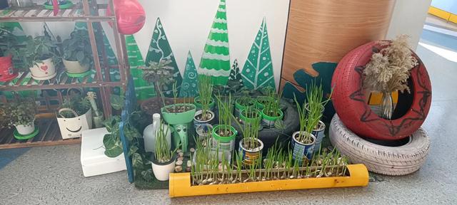 幼儿园环创设计之植物区角