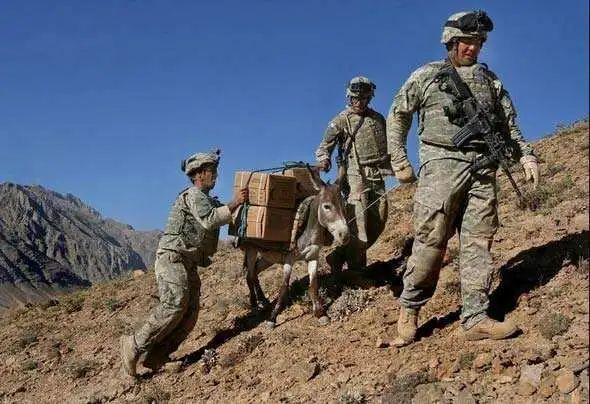 軍情（裝備）從美軍山地部隊騾馬化看機械騾和外骨骼的需求