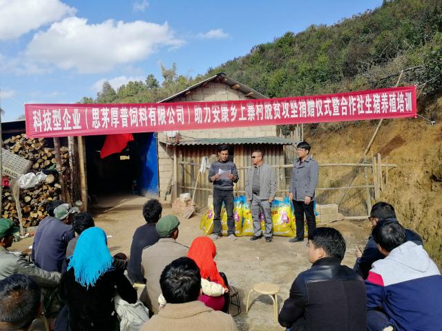 展鸿园林绿化工程