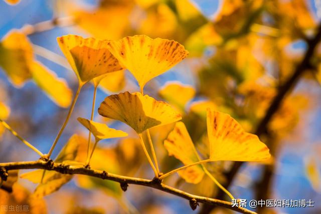 眼干喉咙痒、月经不规律还便秘，当心秋燥来害人