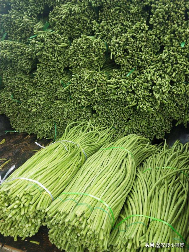 豆角化花是怎么回事