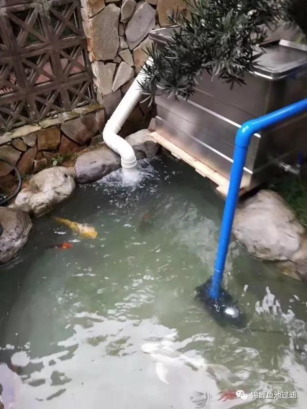 鱼池过滤机怎么使用