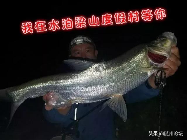 常熟梁山工程灯光展