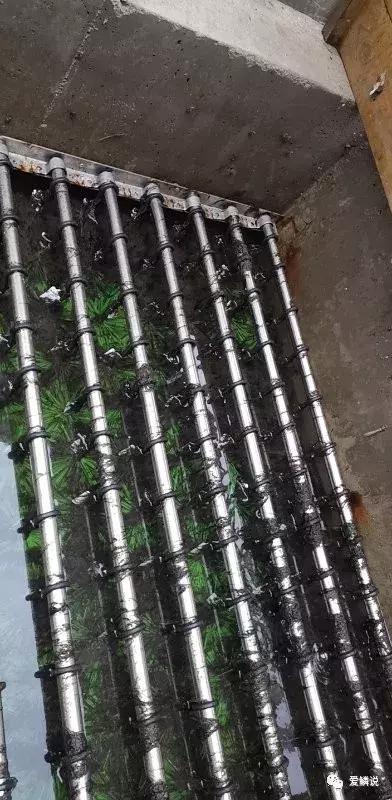 干燥过滤器蓝藻过滤机