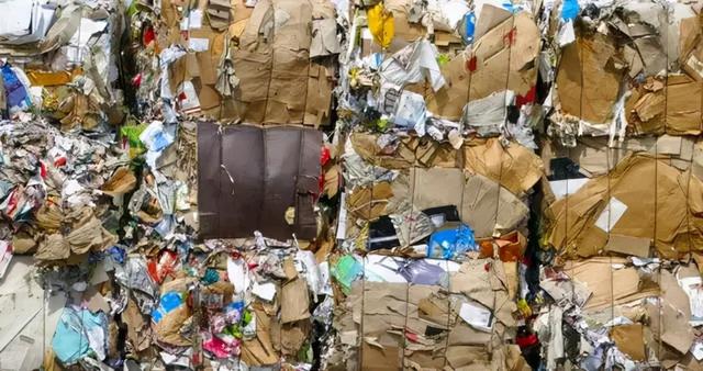 全球“纸贵”，零售“知秋”