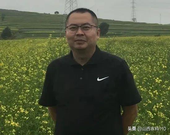 谷子病害种类多，如何辨别来防治