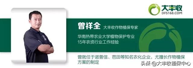 红蜘蛛、蚜虫、蓟马等虫害爆发期，最佳用药方案看这里！「收藏」