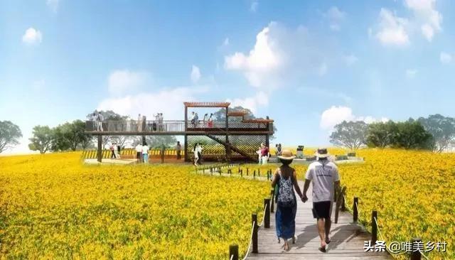 十万亿康养市场迎来大爆发，乡村旅居+田园康养，会是引爆点吗？