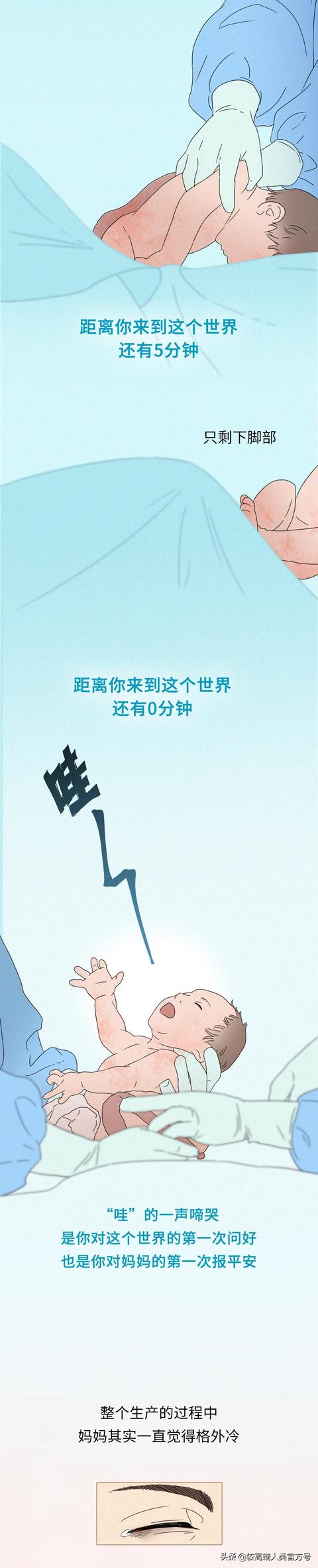 你出生前的24小时，都经历了什么？