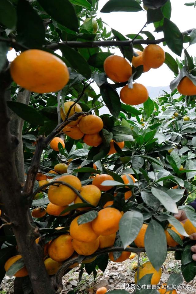 金昌冲击制砂机设备