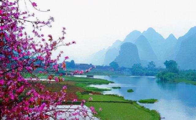 阳朔在桂林哪里