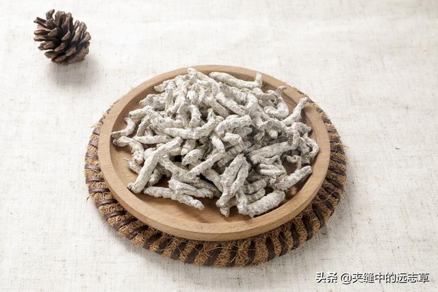 肩周炎，活动受限？送你四味中药，祛顽痰，通经络，快来了解下吧