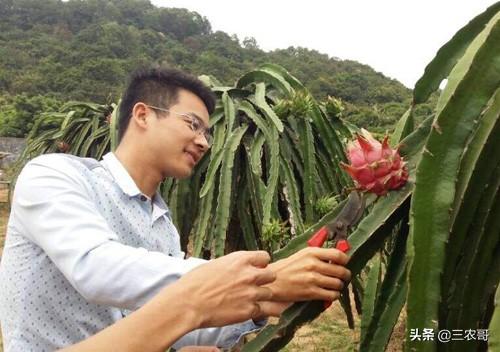 有没有什么挣钱的门路（有没有什么挣钱的门路是用电的）