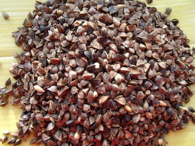 这3种生活中常见的滋补类食物，好吃不贵对身体还好，可以多吃