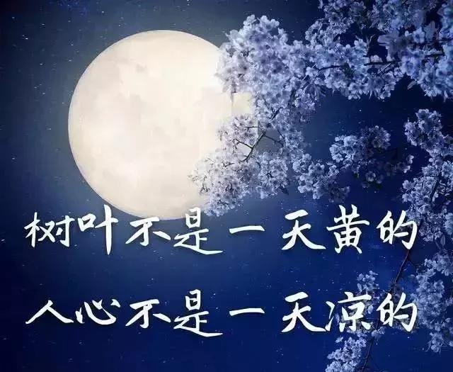 心累心烦的伤感情感语录被爱伤透了心的说说