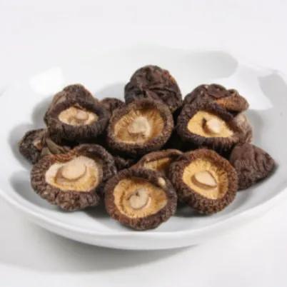 如何＂药食＂协同微无创整体整合治疗--“万箭齐发”防治肿瘤？