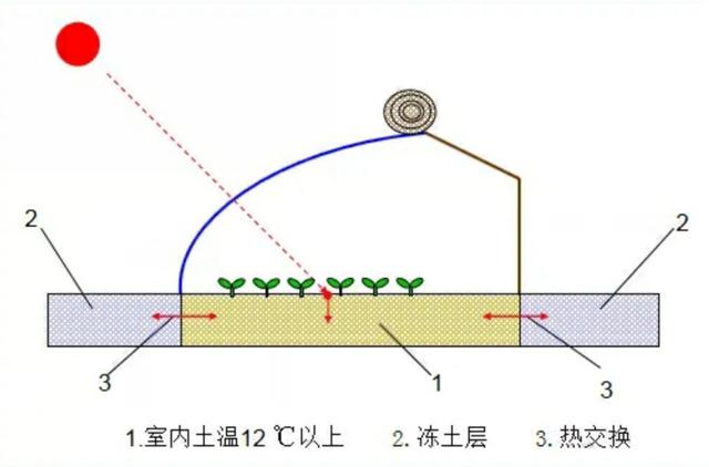 深冬蔬菜大棚：温度低、湿度大、病害易发生，罪魁祸首是谁呢？6