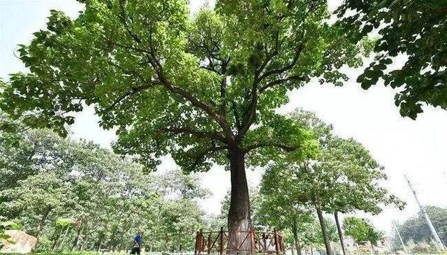 大连卵石制砂机 大连卵石制砂机