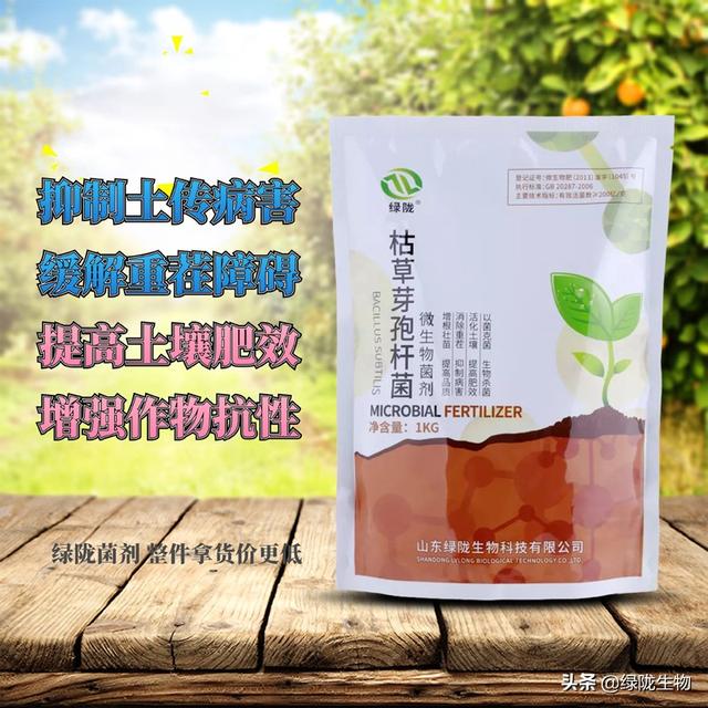 枯草芽孢杆菌的主要功效你知道几个？4