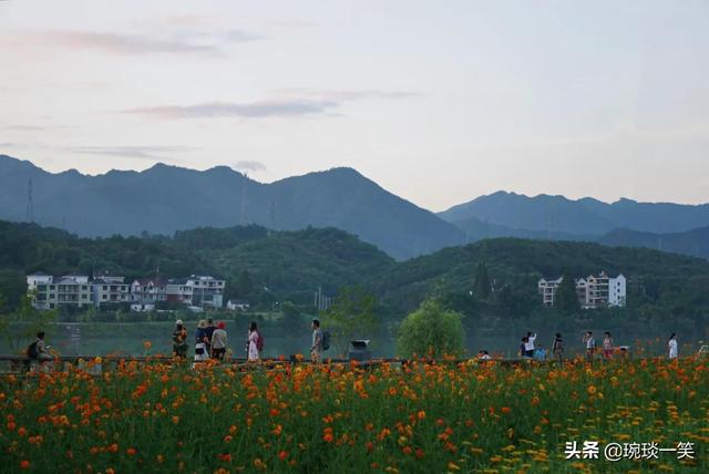 夏日梦境田园 之江十里醉花海 全网搜