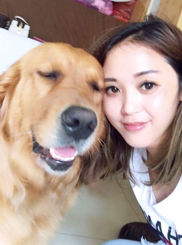 金毛犬的饲养