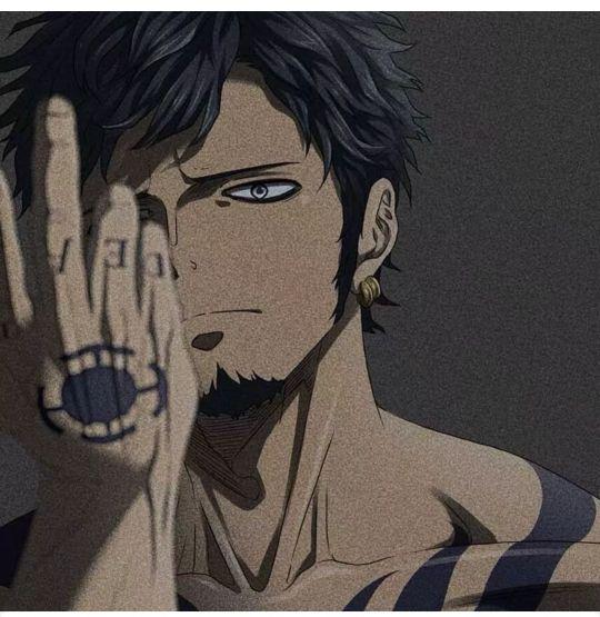 海贼王罗「海贼王唐罗」