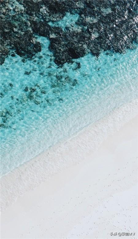 很舒心的經典海浪手機壁紙 大海和海鷗皮膚圖片 Kks資訊網