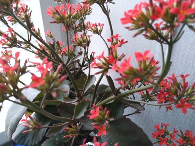 老年人不仅要延年益寿，而且要健康少病，请注意以下几点