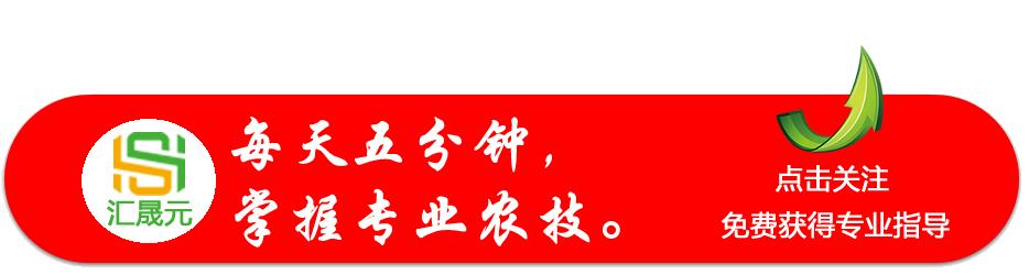 这个药红蜘蛛、蓟马、梨木虱、介壳虫、白粉虱通杀，持效期达8周