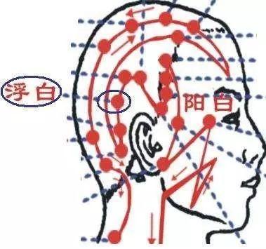 101个“穴位功效大全”，快收藏吧！