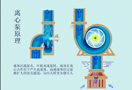 齿辊破碎机结构设计cad图纸