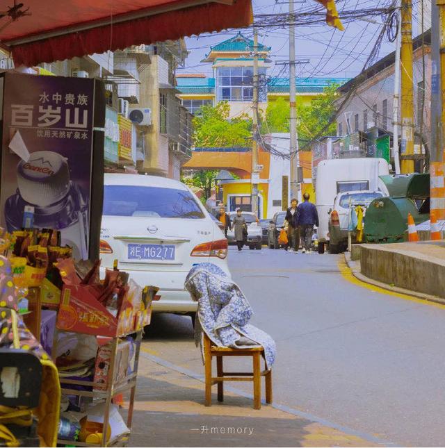 万人迷会长大人全文免费阅读(万人迷会长大人小说)