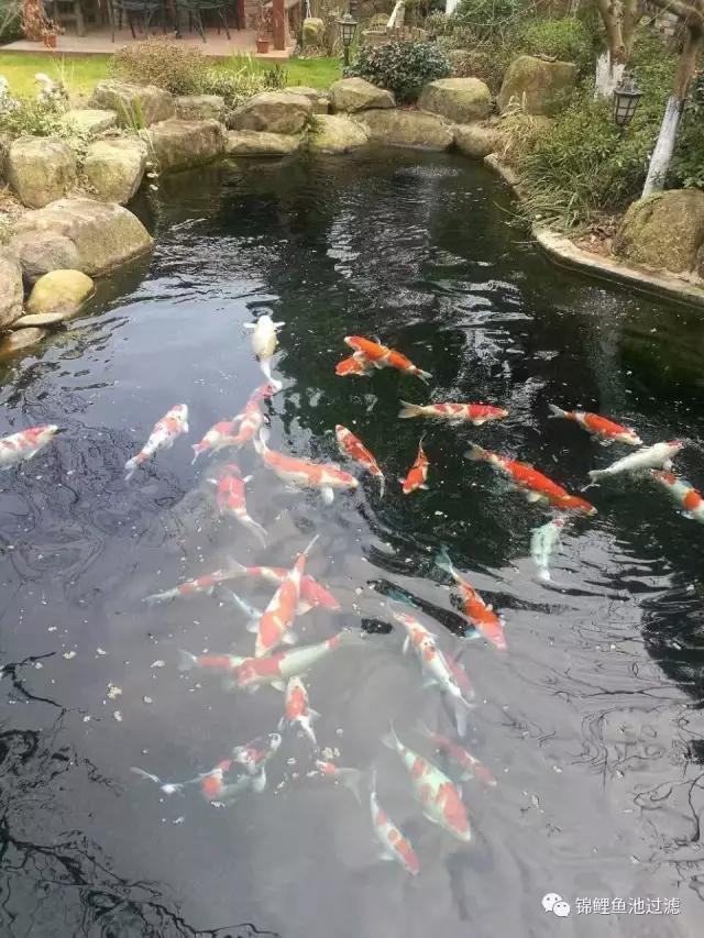 养殖鼓式过滤机