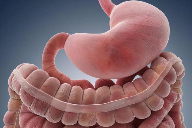 胃病要少吃甜食？甜食会导致胃酸增多？消化科医生详细告诉你