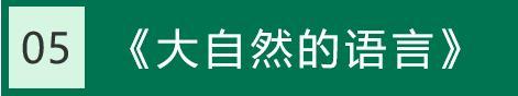 破绽的意思