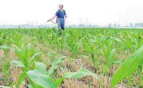 除草剂最终“归宿”大揭秘：你用过的除草剂都怎么样了5