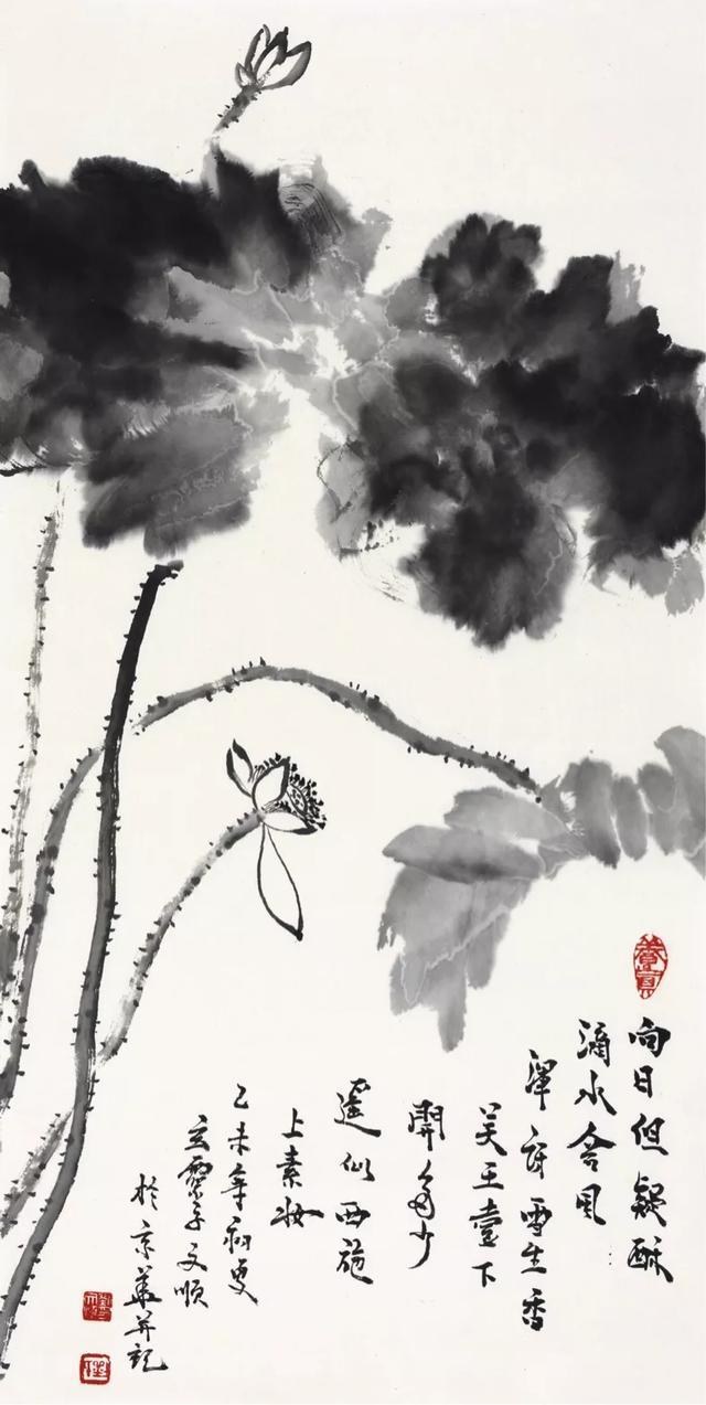荷花象征 荷花象征