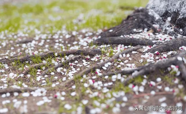 送春古诗春天柳絮纷飞唯美诗句