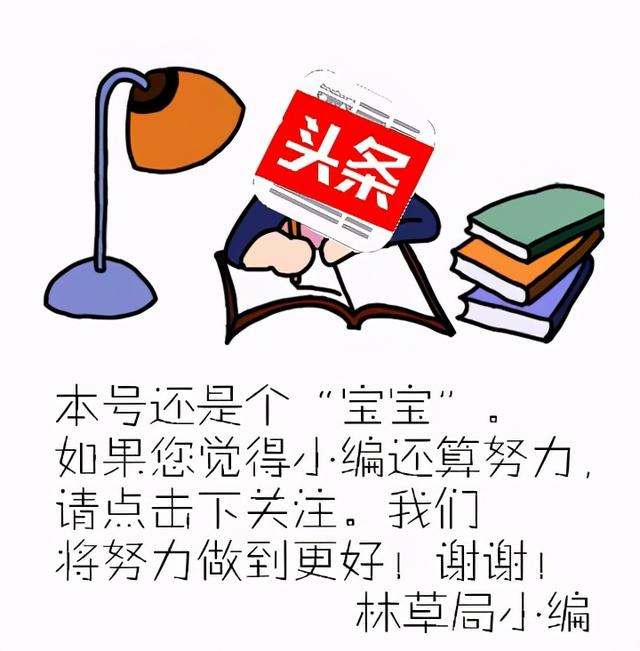 臭冷杉 臭冷杉（臭冷杉省级自然保护区） 生活