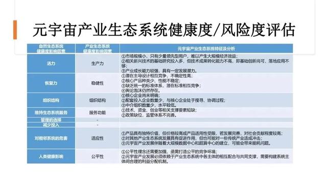 清华大学：2020-2021年元宇宙发展研究报告(风险篇)