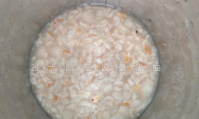 资阳荔枝酒过滤机