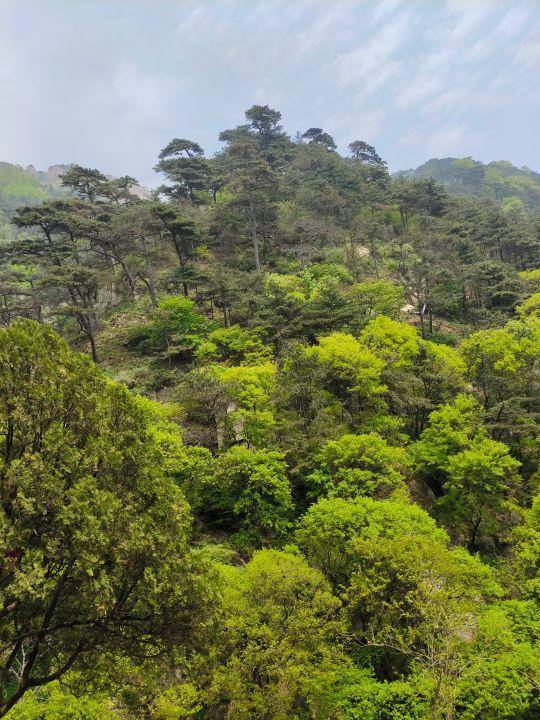 东岳泰山的特点