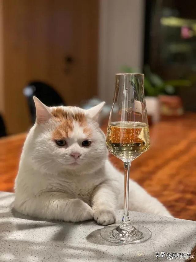 微甜的猫微博(微甜小说)-广东清远韶关塔吊租赁公司