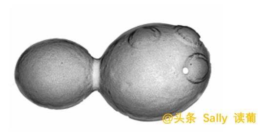 六九破碎机底座螺杆尺寸