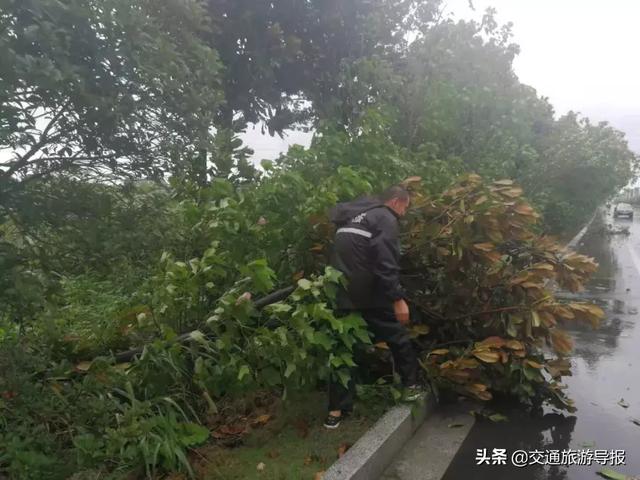 乌市新市区进口轮式洗砂机