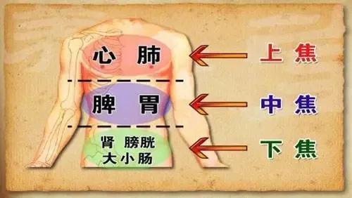 褪黑素、牛奶、红酒助睡眠？权威专家：不一定