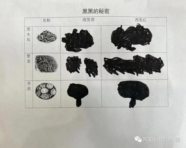 好吃的黑黑——诺亚舟庆安乐儿堡幼儿园中四班课程故事