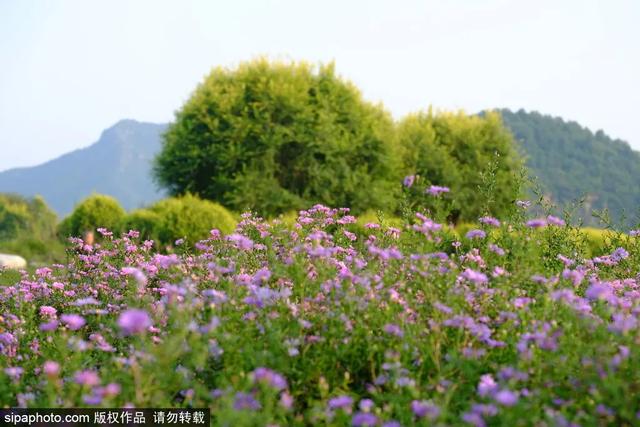 北京旅游图片