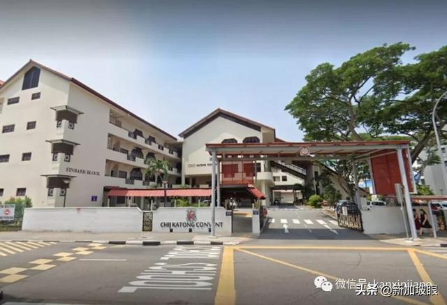 新加坡飛南京航班緊急取消！政府不承認海外紙版疫苗證書